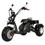 IKINGI M 6 PRO Trike