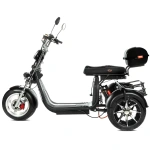 Электротрицикл IKINGI X12 PRO Trike PLUS сбоку