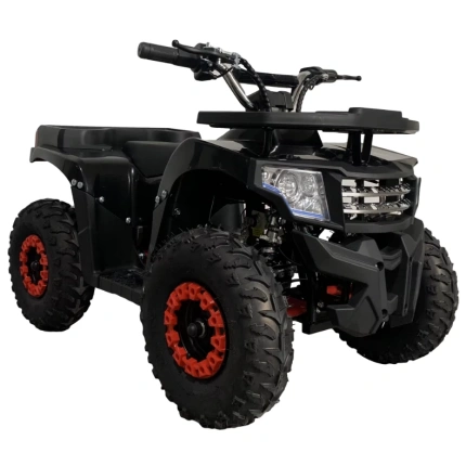 Детский квадроцикл IKINGI 49 CC