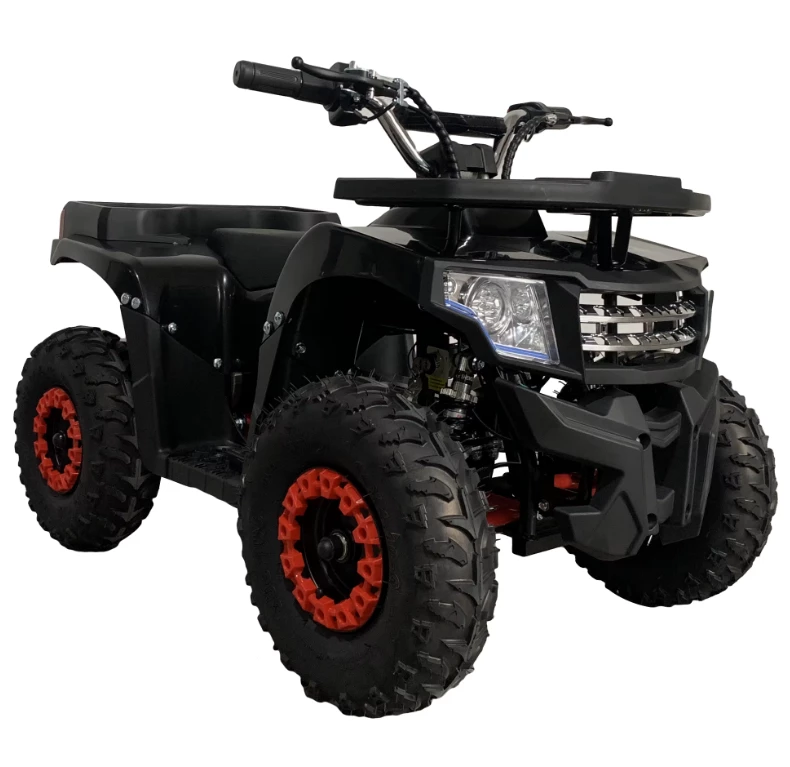 Детский квадроцикл IKINGI 49 CC Детский квадроцикл IKINGI 49 CC